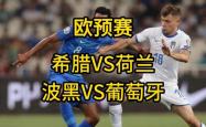 开云体育登录-斯洛伐克遗憾败给波黑，欧预赛反思之战的简单介绍