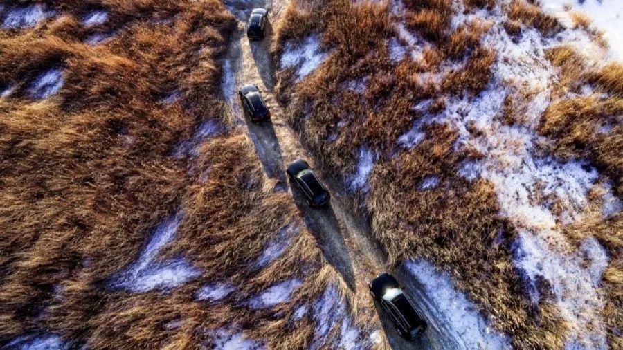 一场激烈的对决打破现场寂静