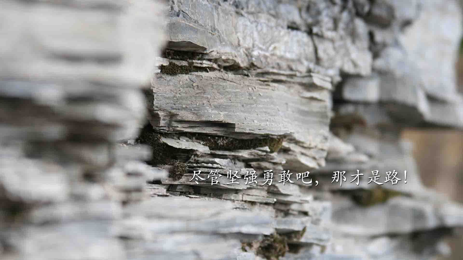 小贾伦在焦点战的答案,新疆队终结广厦