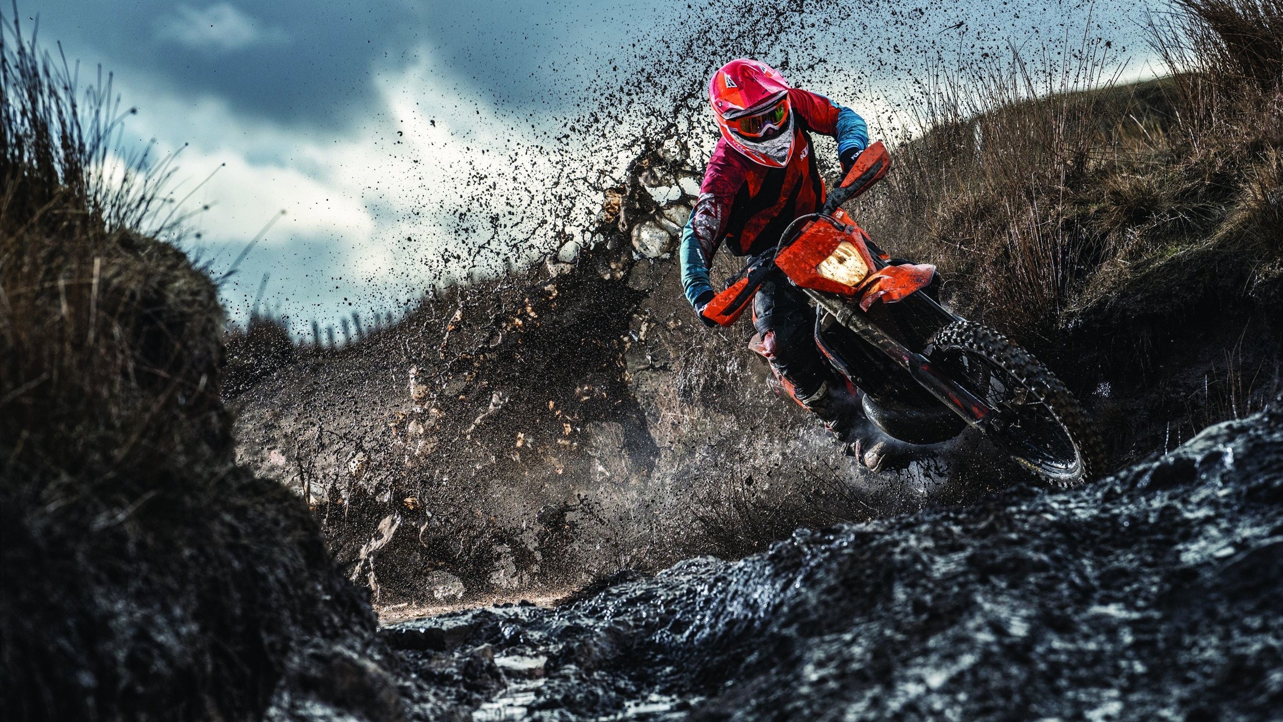 哈弗茨跨界指挥，尤文与牙买加的音乐足球赛响彻都灵