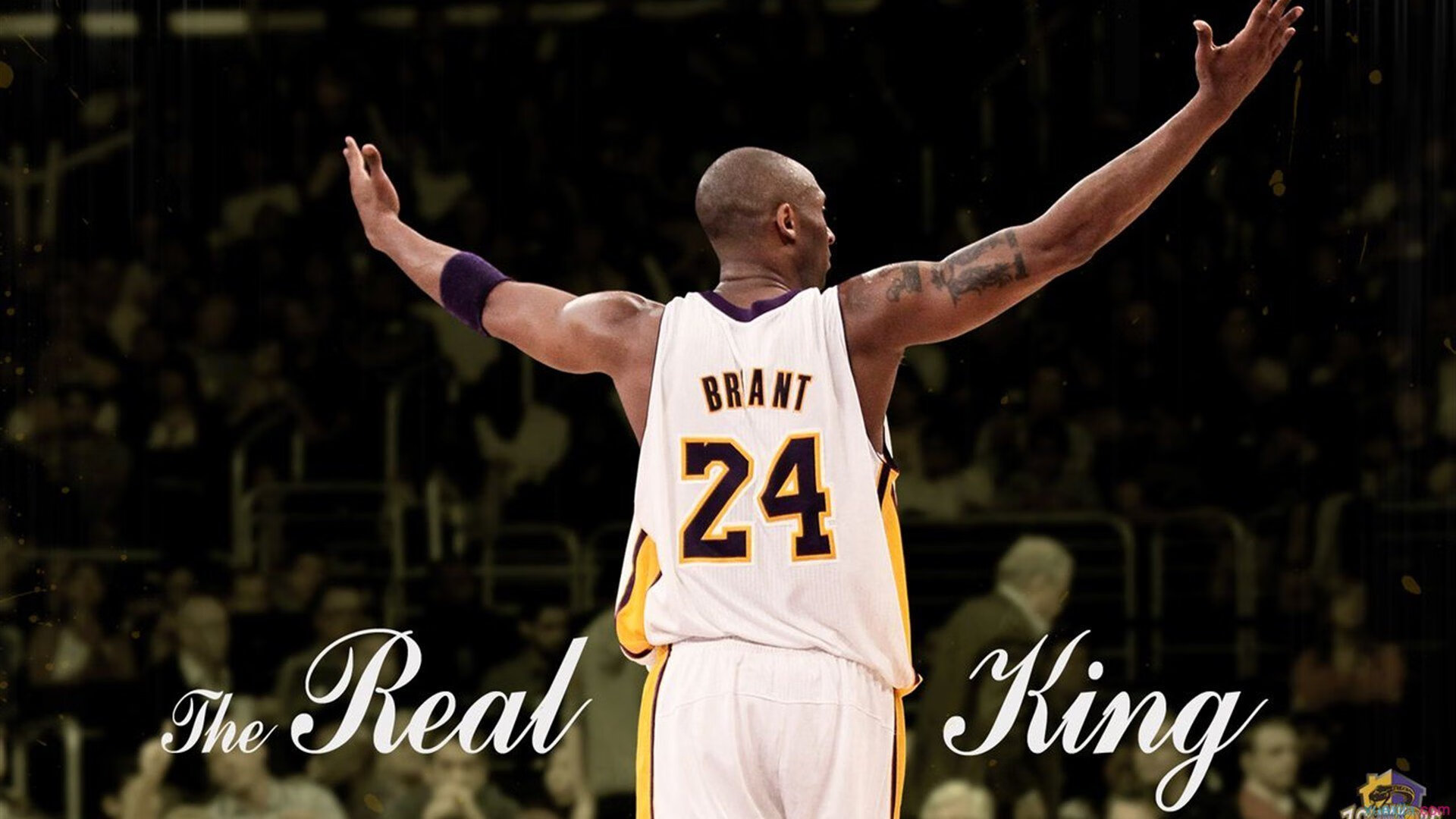 北岸花园神迹夜，欧文49分一己之力，见证不可能如何诞生