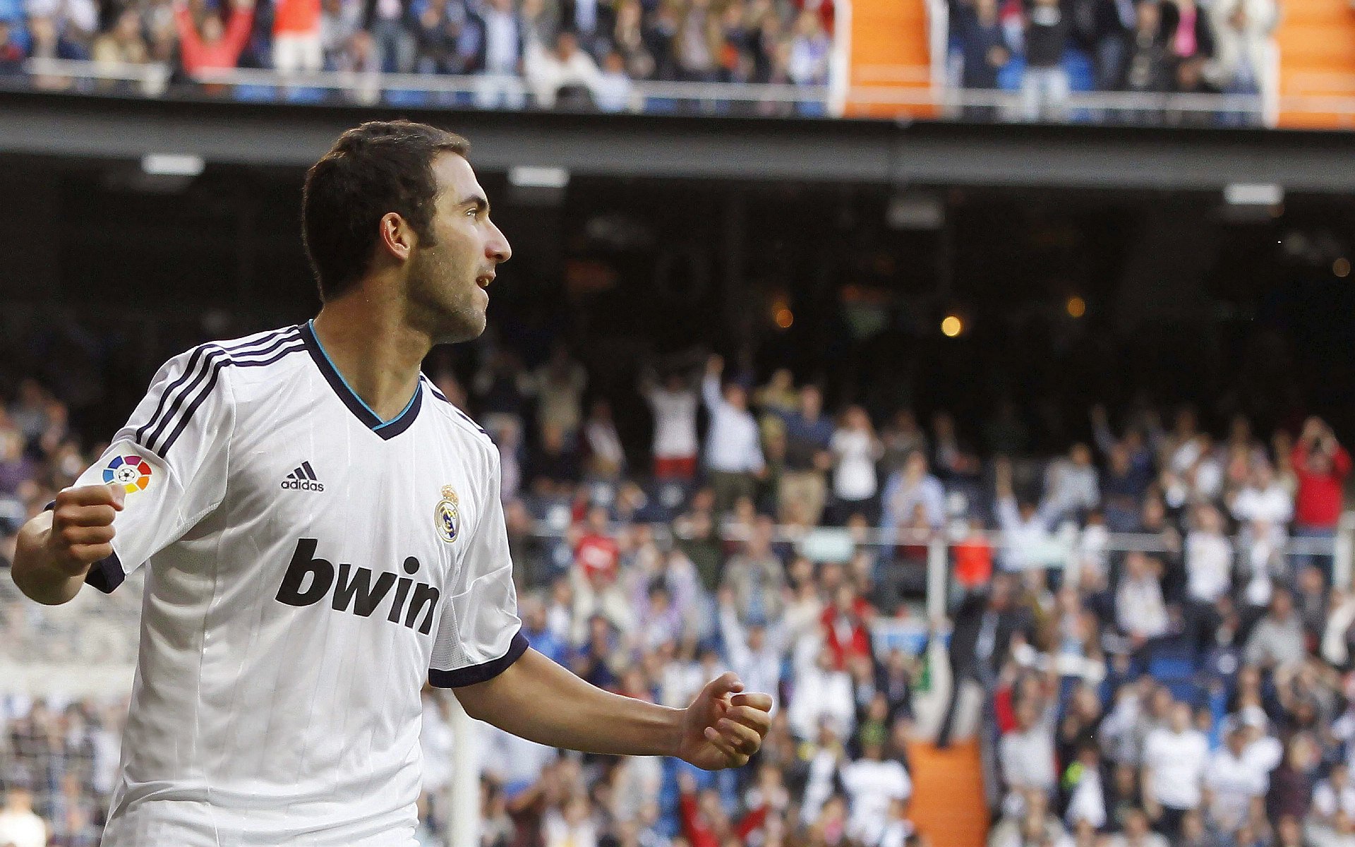 孤帆破浪，金门迪一夫当关，太极虎逆风掀翻高卢雄鸡